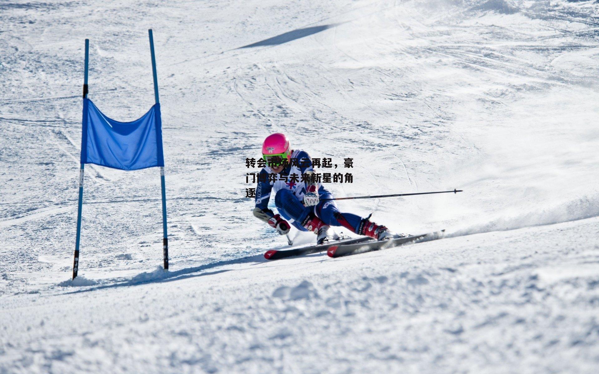 转会市场风云再起，豪门博弈与未来新星的角逐